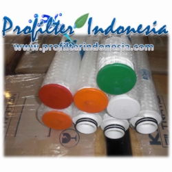 d Twin Filter Cartridge ProfilterIndonesia pix  large